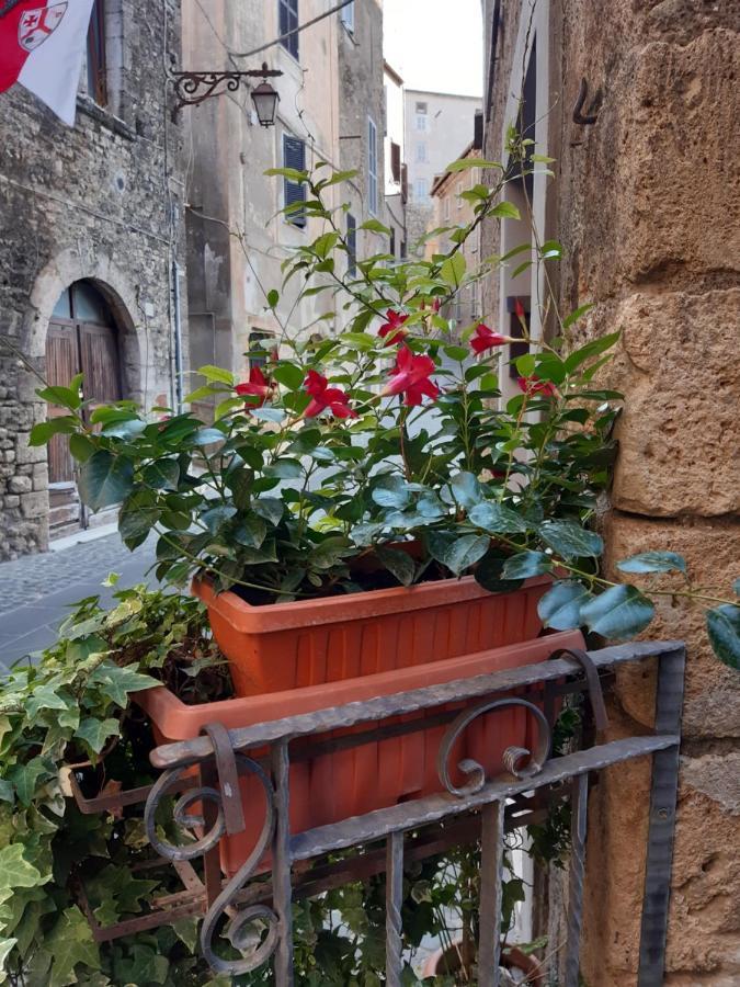 Ferienwohnung Historical Domus Anagni Exterior foto